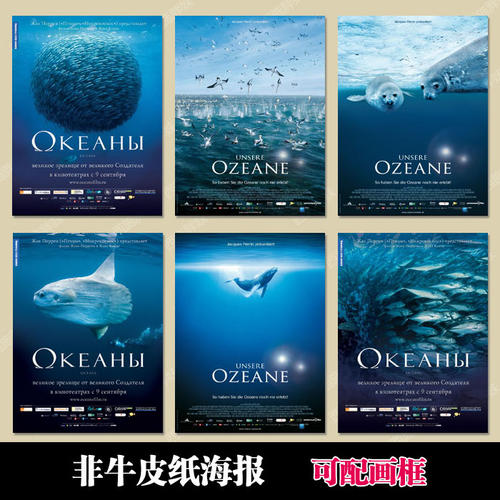 东部理工学院会计文凭证书